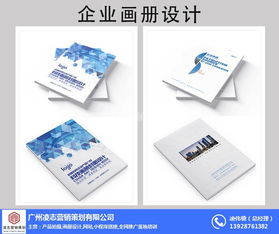 凌志營銷策劃 專業企業畫冊設計與軟件開發服務